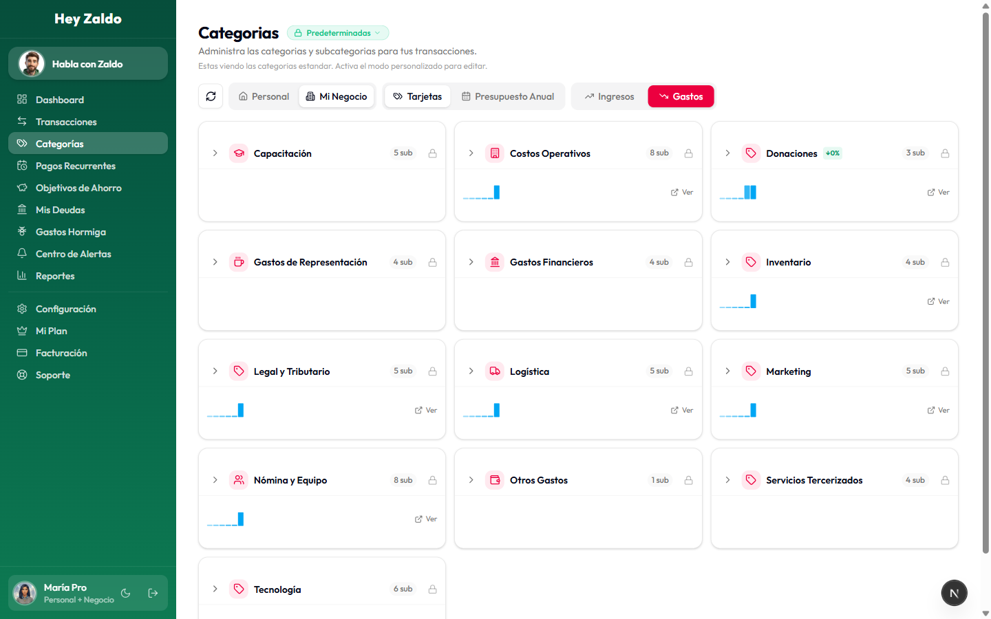 Categorías del espacio Mi Negocio