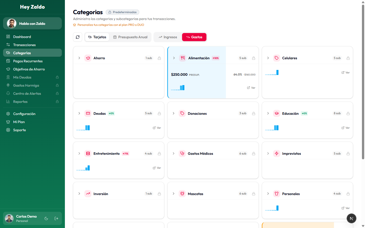 Categorías con presupuestos y barras de color