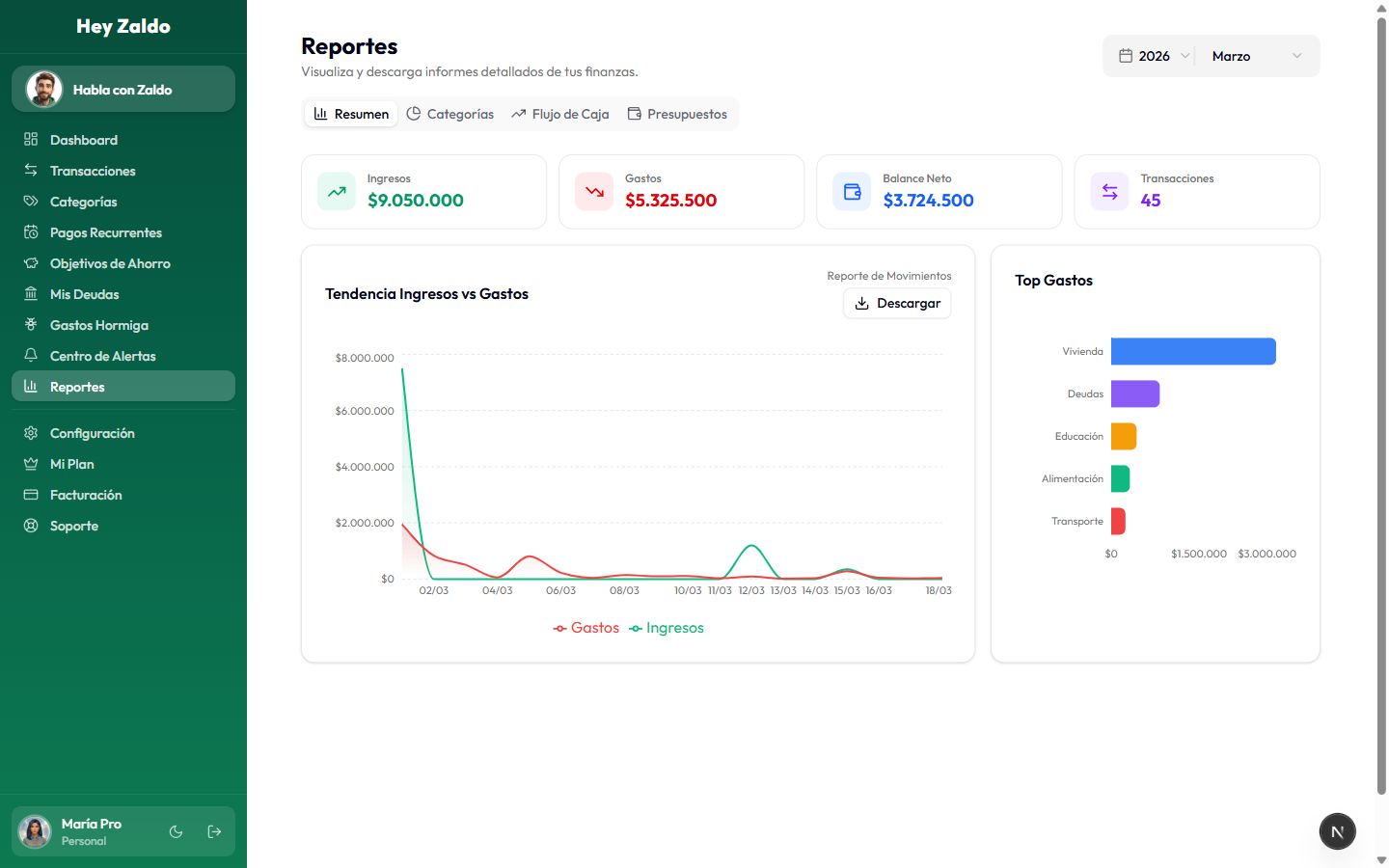Reportes financieros